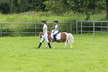 Bild 5 - Pony Akademie Turnier